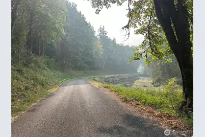 0 Tr 2&3 E Agate Road, Shelton, WA 98584 - Photo 7