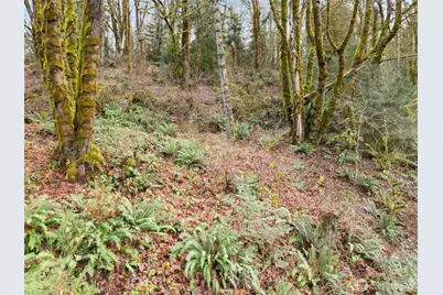 0 Tr 2&3 E Agate Road, Shelton, WA 98584 - Photo 5