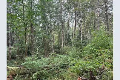 0 Tr 2&3 E Agate Road, Shelton, WA 98584 - Photo 11