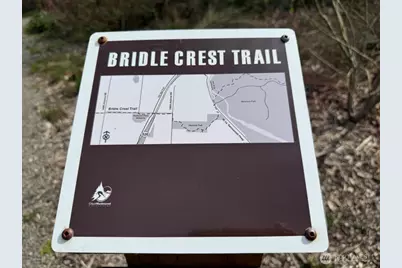 15927 NE 59th Way, Redmond, WA 98052 - Photo 21