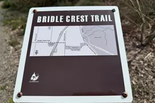 15927 NE 59th Way, Redmond, WA 98052 - Photo 21