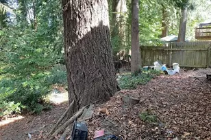 4327 184th St SW, Lynnwood, WA 98037 - Photo 17