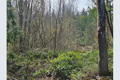 8220 Hwy 20, Port Townsend, WA 98368 - Photo 5