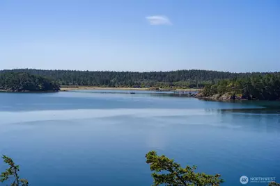 481 Grimes Riker Lane, Lopez Island, WA 98261 - Photo 3