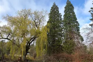 131 Muncie Ave, Quilcene, WA 98376 - Photo 37