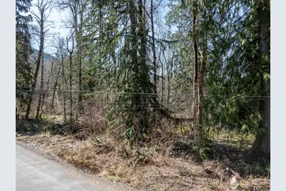 0 Xx Fairway Drive, Ashford, WA 98304 - Photo 3