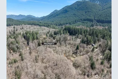 0 Xx Fairway Drive, Ashford, WA 98304 - Photo 11