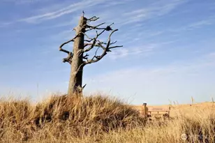 210 26th Street NW, Long Beach, WA 98631 - Photo 31