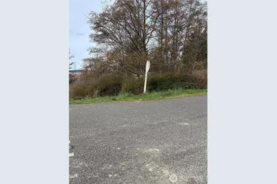 0 Halsey & Perry Drive, Coupeville, WA 98239 - Photo 3