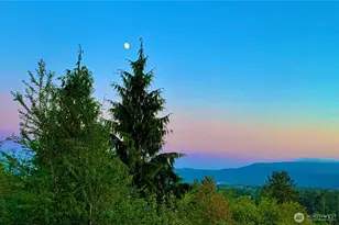 58 Alger Creek Heights Rd, Cathlamet, WA 98612 - Photo 39