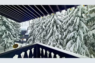 33613 E Crystal Mountain Boulevard #524, Enumclaw, WA 98022 - Photo 1