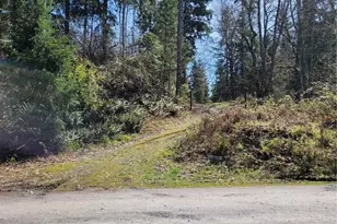 41325 109th Ave Ct E, Eatonville, WA 98328 - Photo 1