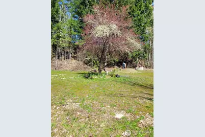 41325 109 Avenue Ct E, Eatonville, WA 98328 - Photo 7
