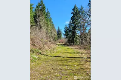 41325 109 Avenue Ct E, Eatonville, WA 98328 - Photo 9