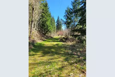 41325 109 Avenue Ct E, Eatonville, WA 98328 - Photo 3