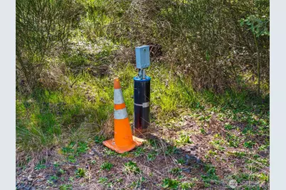 203 Bear Creek Lane, Winlock, WA 98596 - Photo 15