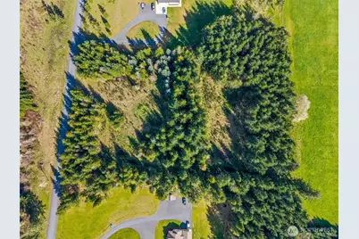 203 Bear Creek Lane, Winlock, WA 98596 - Photo 3