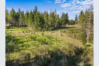 203 Bear Creek Lane, Winlock, WA 98596 - Photo 9