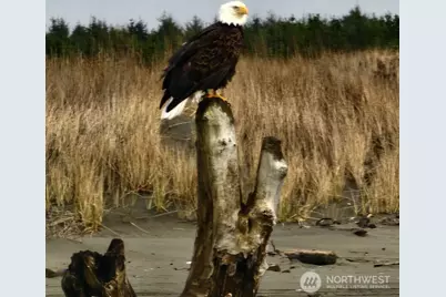 1269 Storm King Avenue SW, Ocean Shores, WA 98569 - Photo 37