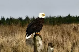 1269 Storm King Ave SW, Ocean Shores, WA 98569 - Photo 37