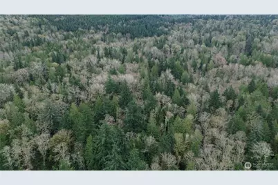 9 E Street, Bellingham, WA 98225 - Photo 1