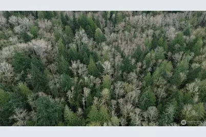 9 E Street, Bellingham, WA 98225 - Photo 7