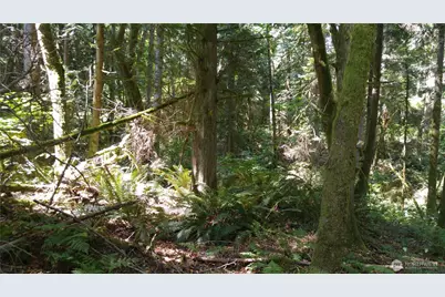 9 E Street, Bellingham, WA 98225 - Photo 5