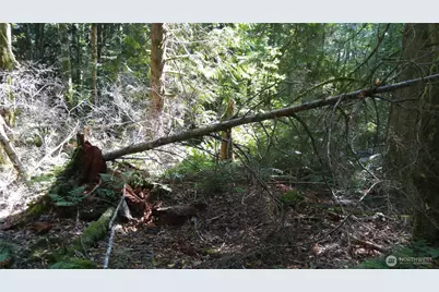 10 E Street, Bellingham, WA 98225 - Photo 7