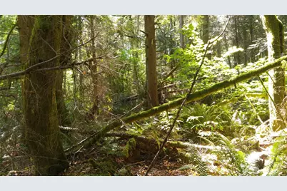 10 E Street, Bellingham, WA 98225 - Photo 5