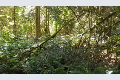 10 E Street, Bellingham, WA 98225 - Photo 3