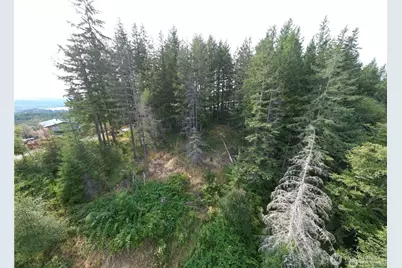 50113 146th Avenue E, Eatonville, WA 98328 - Photo 1