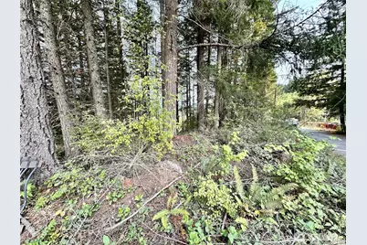 50113 146th Avenue E, Eatonville, WA 98328 - Photo 11