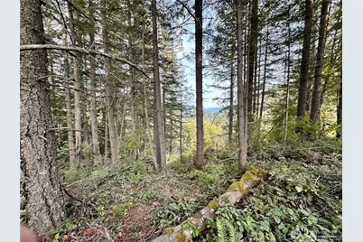 50113 146th Avenue E, Eatonville, WA 98328 - Photo 9