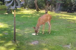 2554 Williwaw Ln, Ocean Shores, WA 98569 - Photo 25