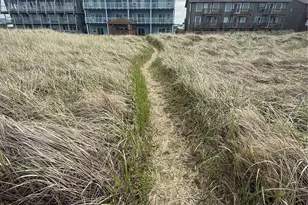 1307 Ocean Shores Blvd Blvd SW, Ocean Shores, WA 98569 - Photo 29