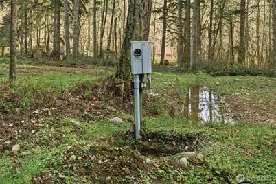 34323 Tanwax Drive E, Eatonville, WA 98328 - Photo 11