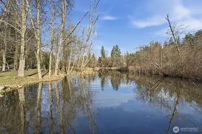 34323 Tanwax Drive E, Eatonville, WA 98328 - Photo 1