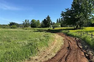 20802 SE 34th St, Sammamish, WA 98075 - Photo 15