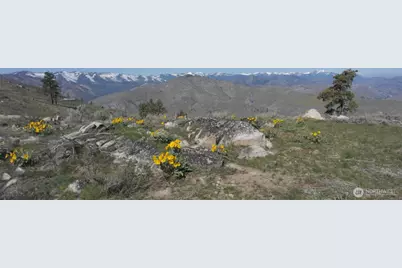 31 Cowboy Road, Methow, WA 98834 - Photo 3