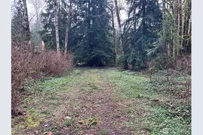 31930 Dotson Road, Monroe, WA 98272 - Photo 11