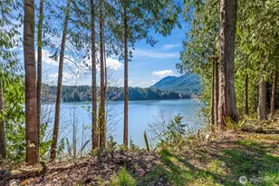 13018 532nd St E, Eatonville, WA 98328 - Photo 33