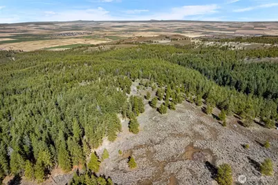 110 Blue Bird Ln, East Wenatchee, WA 98802 - Photo 11