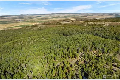 110 Blue Bird Ln, East Wenatchee, WA 98802 - Photo 15