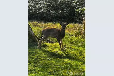 379 Eridani Loop SE, Ocean Shores, WA 98569 - Photo 11