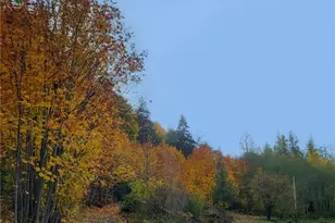 1840 W Deegan Road West, Shelton, WA 98584 - Photo 5