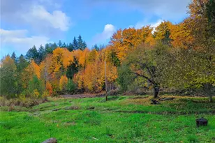 1840 W Deegan Road West, Shelton, WA 98584 - Photo 11