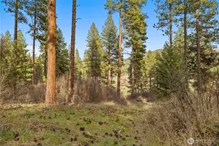 250 Fir Tree Dr, Cle Elum, WA 98922 - Photo 1