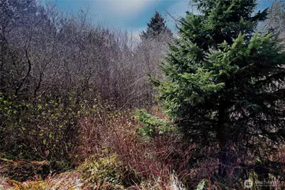 31 Ocean Beach Road, Pacific Beach, WA 98571 - Photo 1