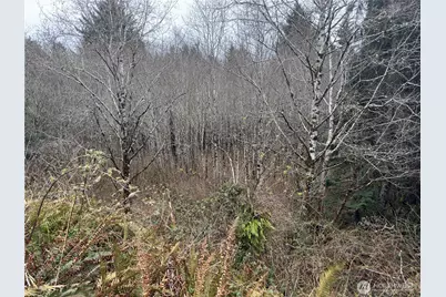 31 Ocean Beach Road, Pacific Beach, WA 98571 - Photo 19