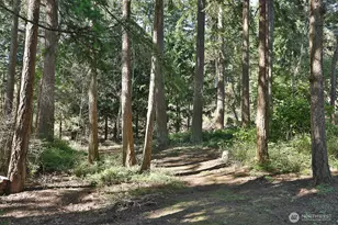 2693 N Bluff Rd, Greenbank, WA 98253 - Photo 35